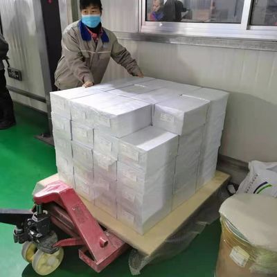 A3 Ukuran Lasel Ukiran Offset Dicetak Polikarbonat PC Lembar Plastik Permukaan Ringan Mat
