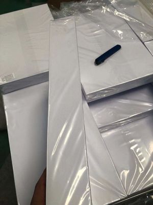 Lembaran Inti Plastik Cetak Offset 0.32mm Untuk Produksi Kartu